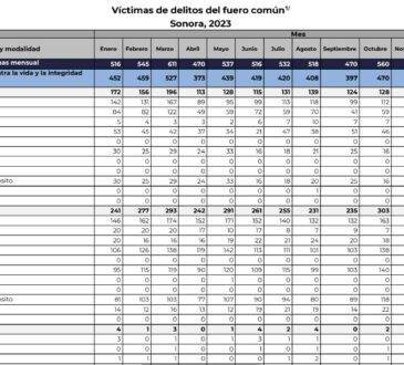 Oficialmente el estado de Sonora cerró con un total de mil 403 víctimas de homicidios dolosos, colocándolo en el noveno lugar con más personas asesinadas