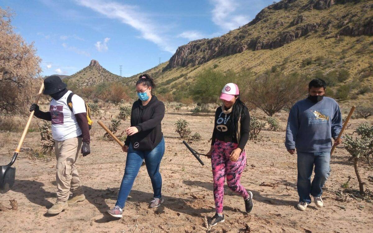 Hace un año se estableció en Hermosillo un colectivo de voluntarios para reforzar la búsqueda de desaparecidos