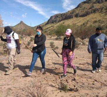 Hace un año se estableció en Hermosillo un colectivo de voluntarios para reforzar la búsqueda de desaparecidos