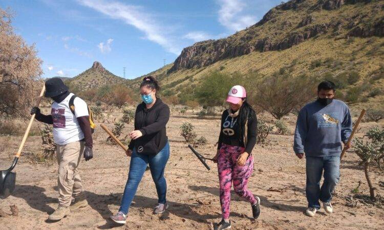 Hace un año se estableció en Hermosillo un colectivo de voluntarios para reforzar la búsqueda de desaparecidos