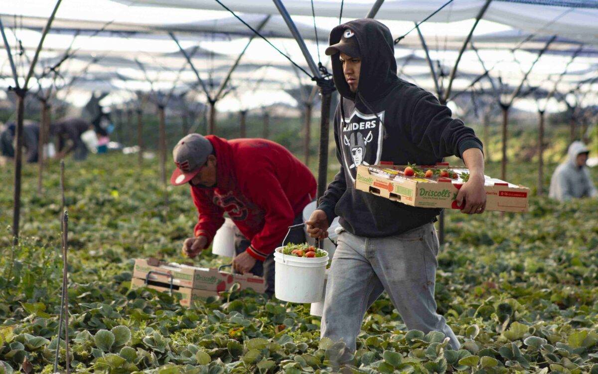 Alcanzar el salario digno no se logra a base de decretos; para mejorar el ingreso de los mexicanos hay que elevar la calidad del sistema educativo