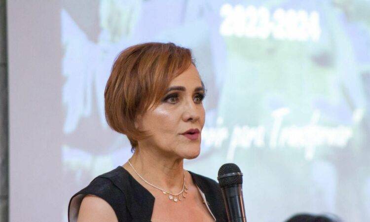 Será el próximo martes 13 del presente mes cuando la arquitecta, Nancy Saldaña busque la reelección por el periodo 2024-2025 como presidenta de Canacintra
