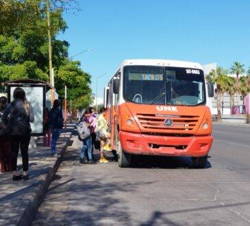Desde el pasado 5 de enero se publicó en el Boletín Oficial de la Ley de Movilidad y Seguridad Vial, que desde ya todos los usuarios tienen derecho a una indemnización en caso de accidentes a bordo de los camiones