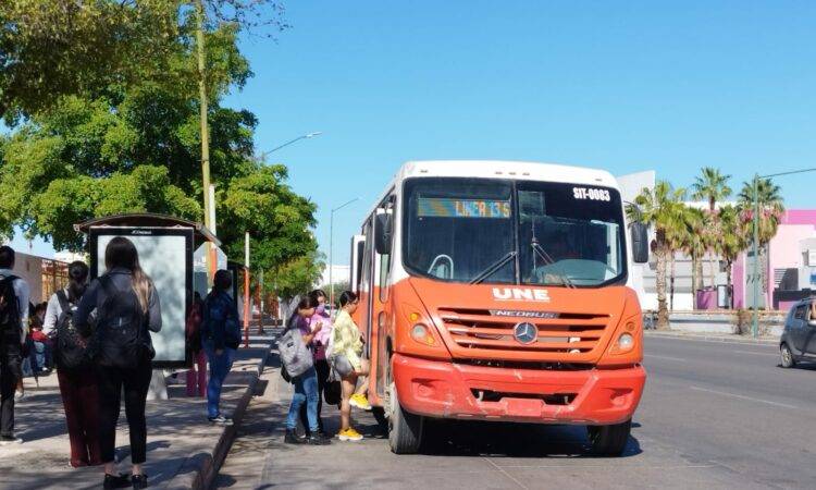 Desde el pasado 5 de enero se publicó en el Boletín Oficial de la Ley de Movilidad y Seguridad Vial, que desde ya todos los usuarios tienen derecho a una indemnización en caso de accidentes a bordo de los camiones