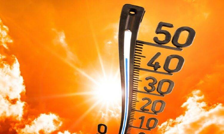 Inició mal este 2024 en materia del cambio climático, ya que, según organismos internacionales, enero fue el mes más caluroso desde que se tienen registros