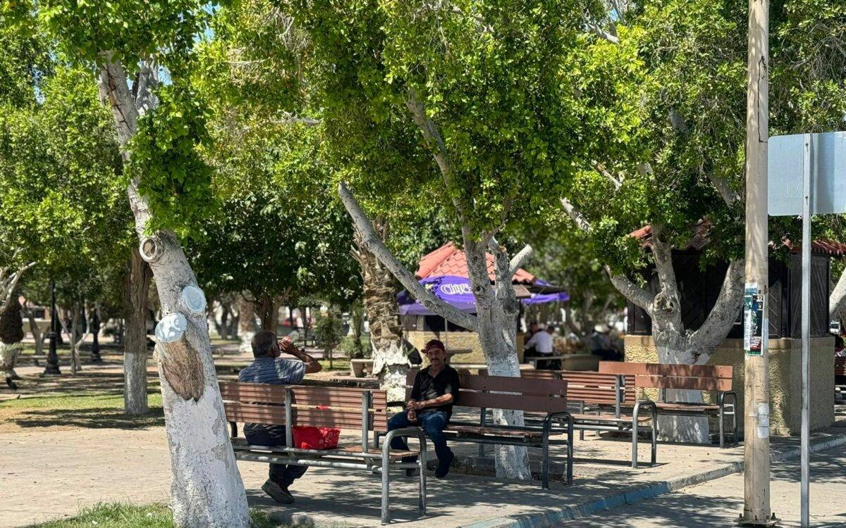 Protección Civil pide a la población tomar sus precauciones ante las altas temperaturas.