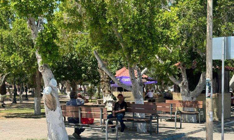 Protección Civil pide a la población tomar sus precauciones ante las altas temperaturas.