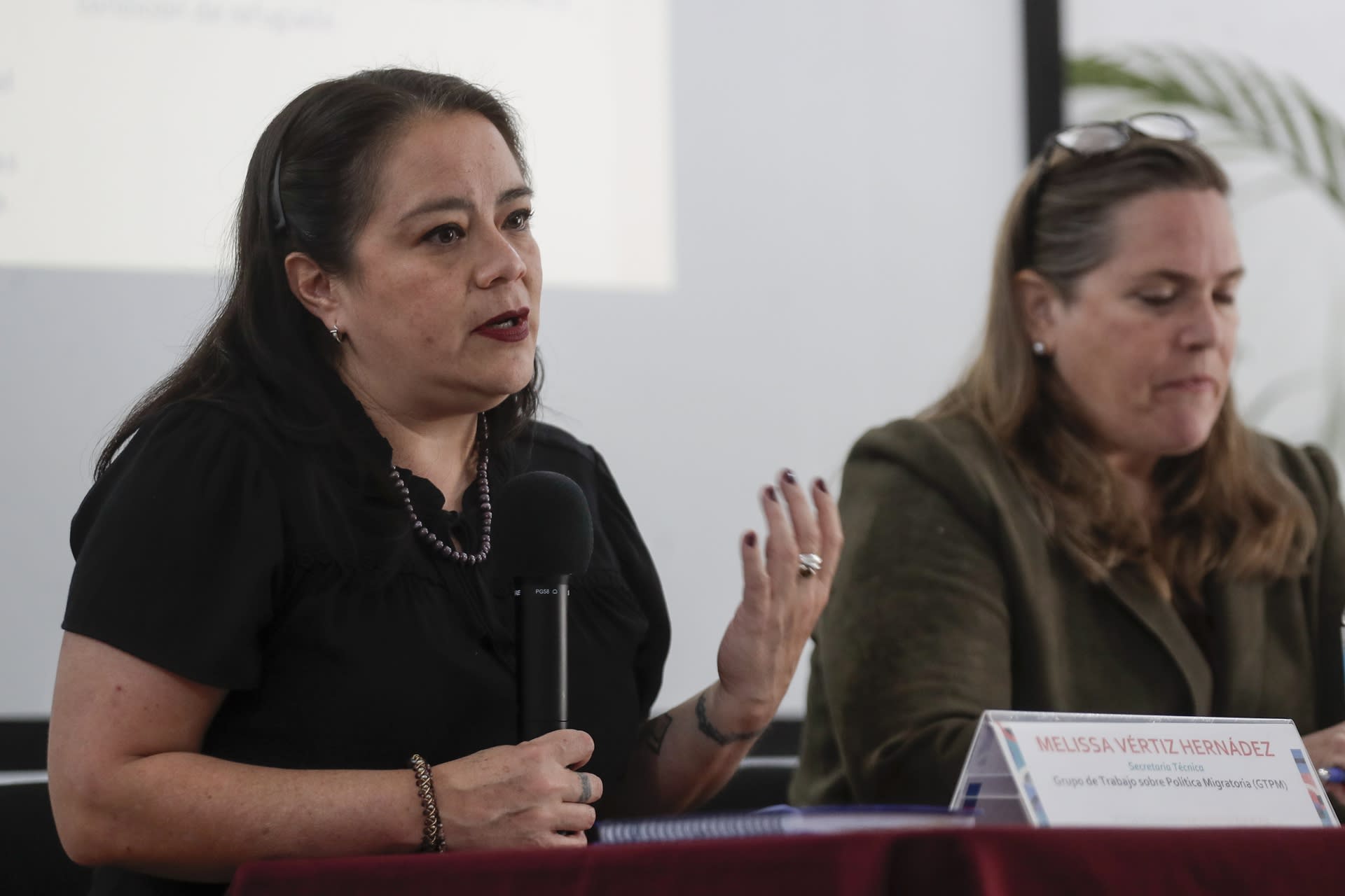Melissa Vértiz, representante del Grupo de Trabajo Sobre Política Migratoria.