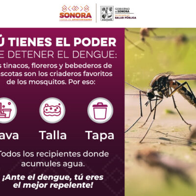 2DENGUE-CAMPAÑA-DICIEMBRE